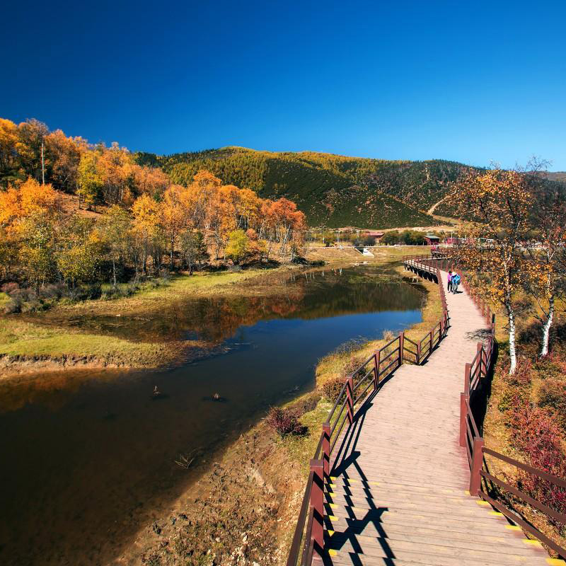 普達措國(guó)家公園+白水台+虎跳峽（香格裡(lǐ)拉段）二日遊